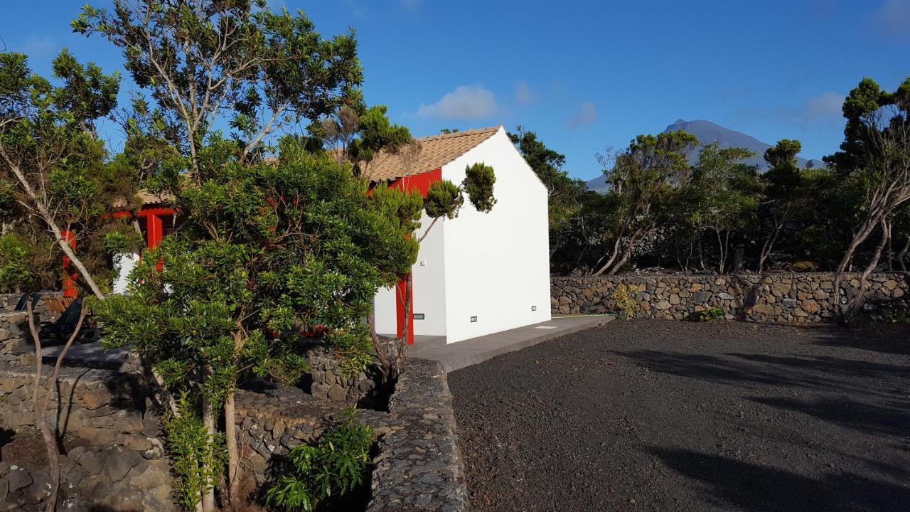 فيلا Casa Da Estrela Sirius Cabeco Chao المظهر الخارجي الصورة