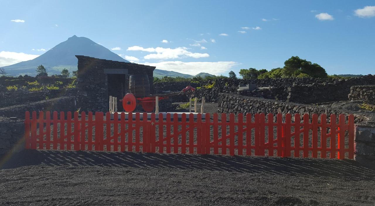 فيلا Casa Da Estrela Sirius Cabeco Chao المظهر الخارجي الصورة