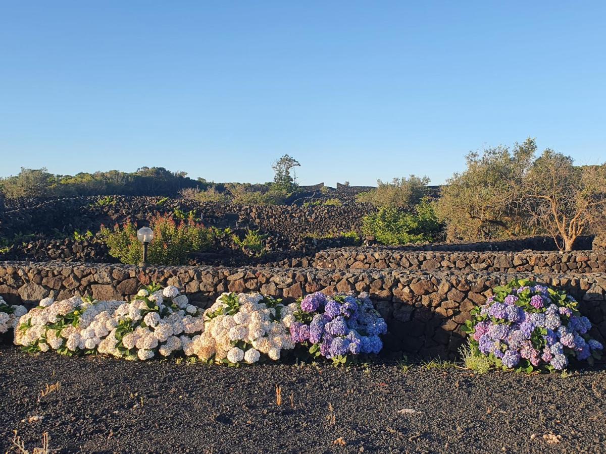 فيلا Casa Da Estrela Sirius Cabeco Chao المظهر الخارجي الصورة