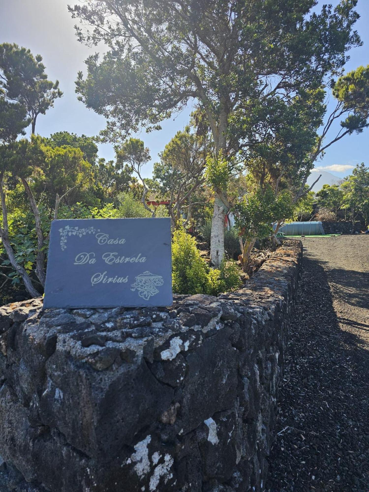 فيلا Casa Da Estrela Sirius Cabeco Chao المظهر الخارجي الصورة